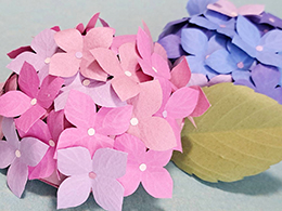 橋田裕美子作品3